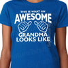 Christmas Gift for AWESOME GRANDMA T Shirt - Women's This is What an Awesome Grandma Looks Like Tshirt - Grandmother Gift Baby Family gift